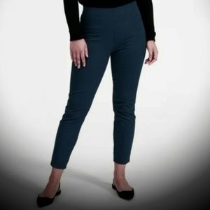 Everlane the work pants side zip  sz 4